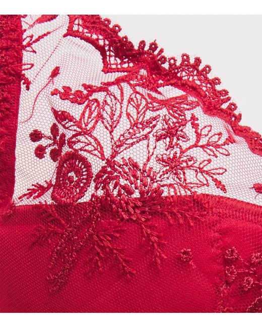 Simone Perele Red Lace Intrigue Plunge Push-Up Bra