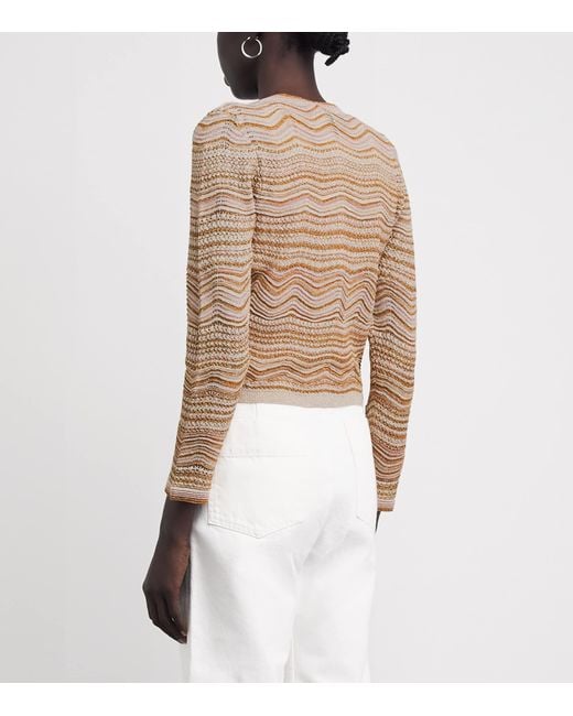 Sandro Brown Knitted Stripe Cardigan