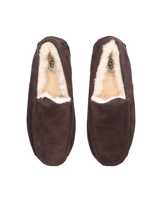 Ugg Green Ascot Slipper for men