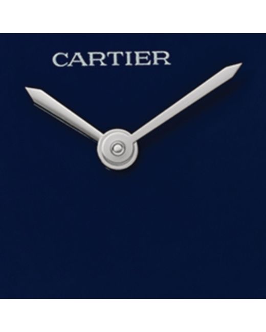 Cartier Blue Ca N21 U Steel Lth Wat Tank Must Blu Dia