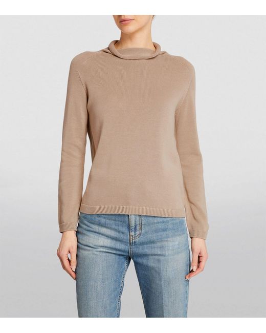 Max Mara Brown Cotton Long-sleeve Sweater