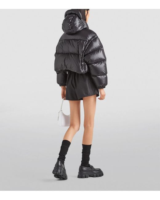 Prada Black Logo-Plaque Padded Cropped Shell-Down Jacket