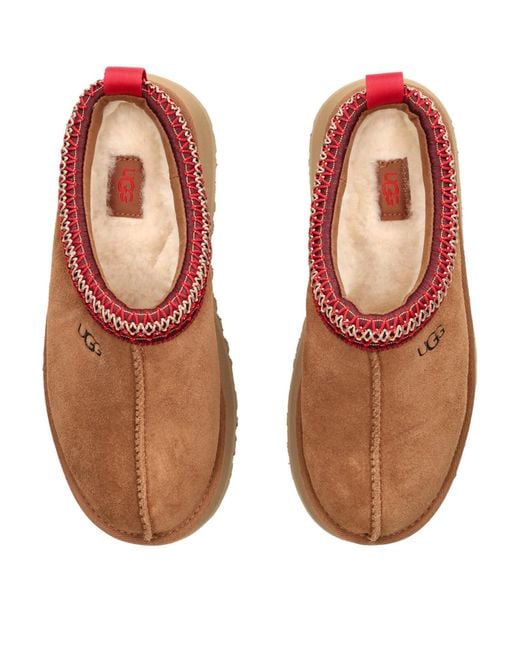 Ugg Brown Suede Tazz Slippers
