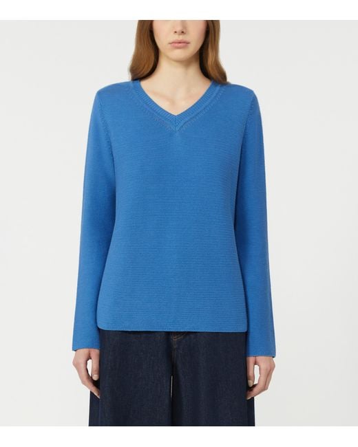 Weekend by Maxmara Blue Cotton V-Neck Sweater
