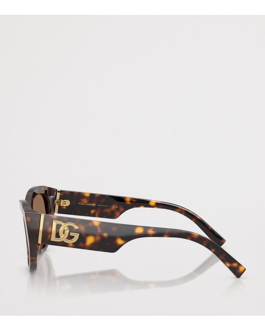 Dolce & Gabbana Brown Tortoiseshell Cat Eye Sunglasses