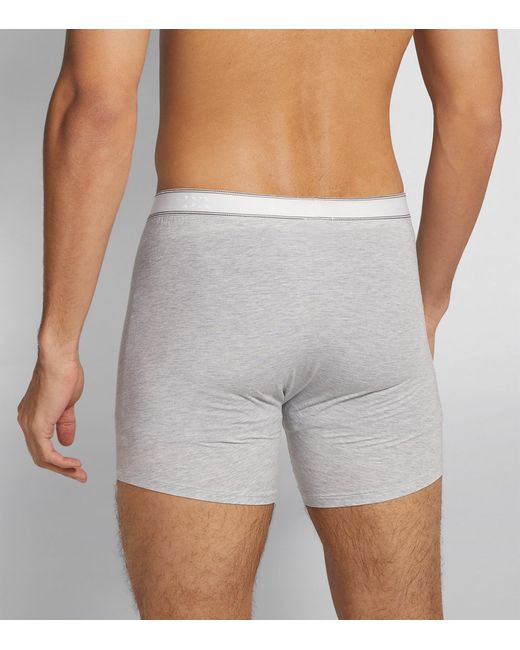 Derek Rose Gray Boxer Briefs for men