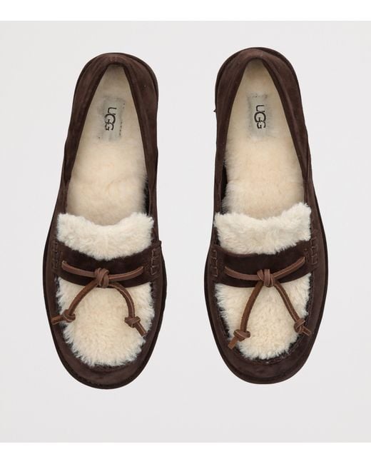 Ugg Brown Suede Zora Loafers