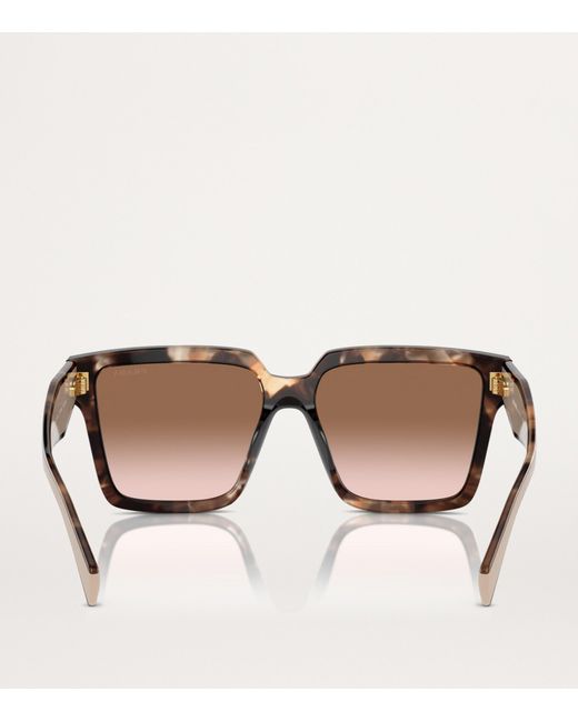 Prada Brown Pr 24Zs Sunglasses