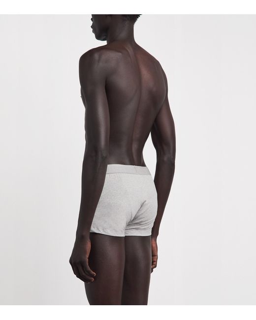 Sunspel Gray Stretch-Cotton Trunks for men