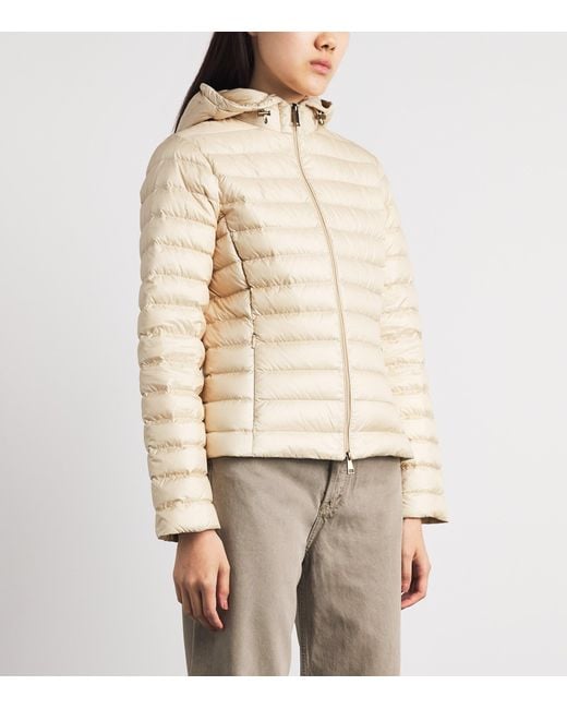 Moncler Natural Down Quilted Igelhood Jacket
