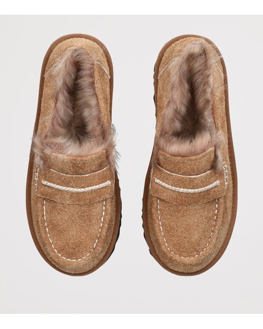 Ugg Brown Suede Fur-Lined Elise Loafers