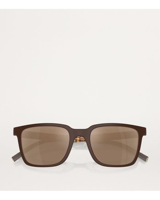 Oliver Peoples Brown Bio-Nylon Mr. Federer Sunglasses for men