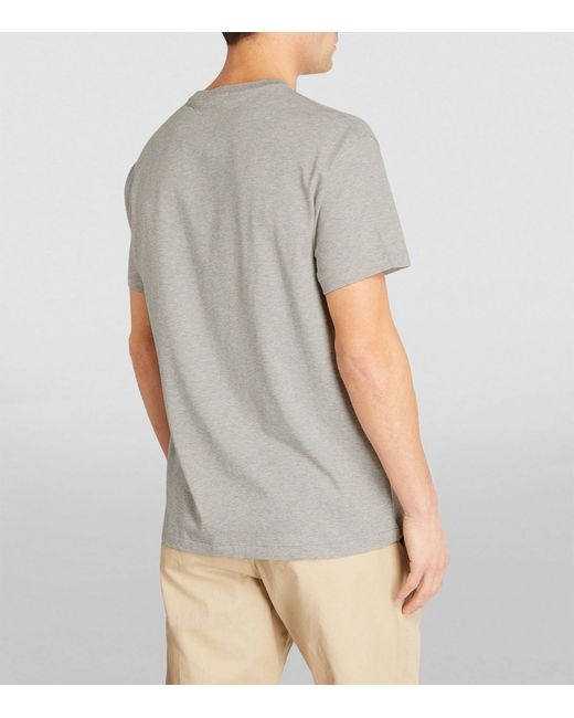 Polo Ralph Lauren Gray Cotton Polo Bear T-shirt for men