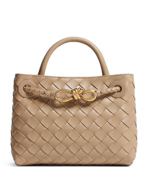 Bottega Veneta Brown Mini Leather Andiamo Top-Handle Bag