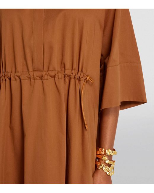 Max Mara Brown Cotton-silk Shirt Dress
