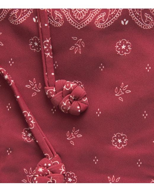 Devon Windsor Red Bandana Print Eadie Bikini Briefs