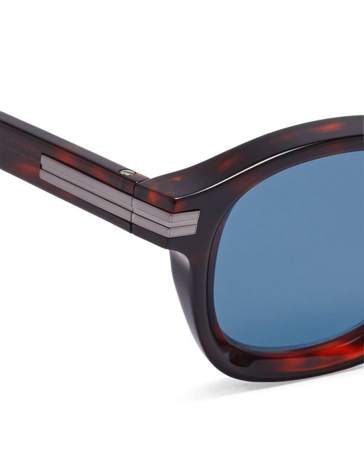 Zegna Blue Acetate Havana Sunglasses for men
