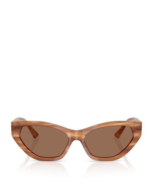 Jimmy Choo Brown Acetate Jc5022B Sunglasses
