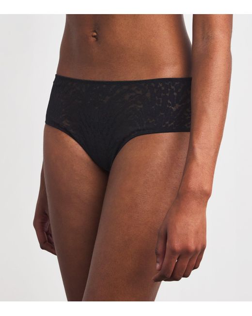 Wolford Black Animaliers Briefs