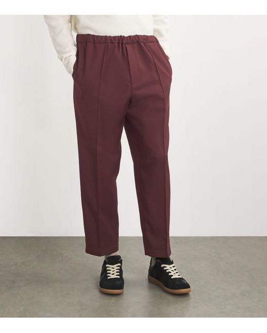 Jil Sander Purple Pleated Straight Trousers for men