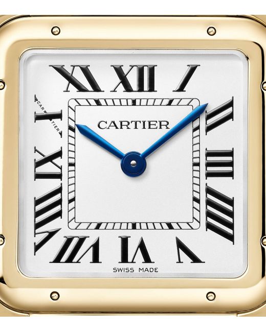 Cartier Metallic Panthère De Watch