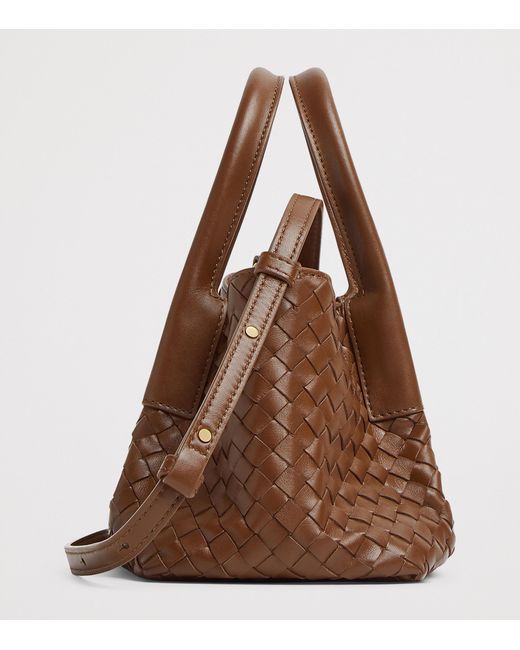 Bottega Veneta Brown Small Leather Pinacoteca Top-Handle Bag