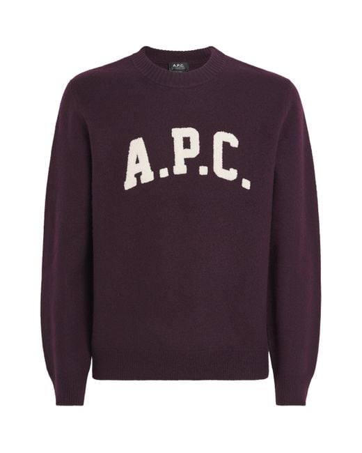 Men's Blue Wool Jay Logo Sweater