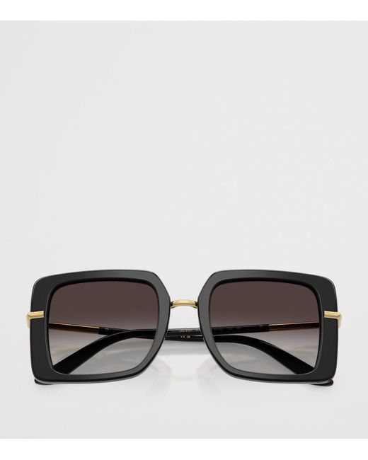 Dolce & Gabbana Brown Acetate Dg4481 Dna Square Sunglasses