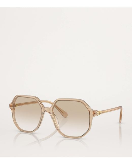 Swarovski Natural Oversized Sk6003 Sunglasses