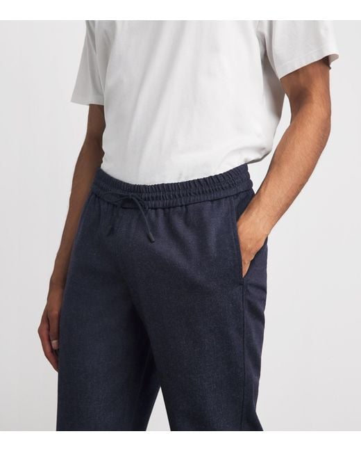 Sease Blue Virgin Wool Mindset Slim Trousers for men