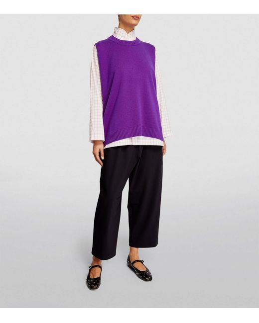 Eskandar Purple Cashmere A-line Sweater Vest