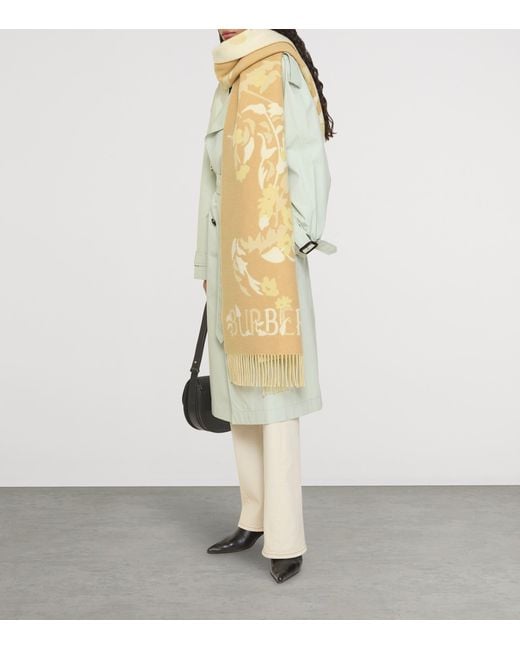 Burberry Natural Wide Floral Ekd Cashmere Scarf