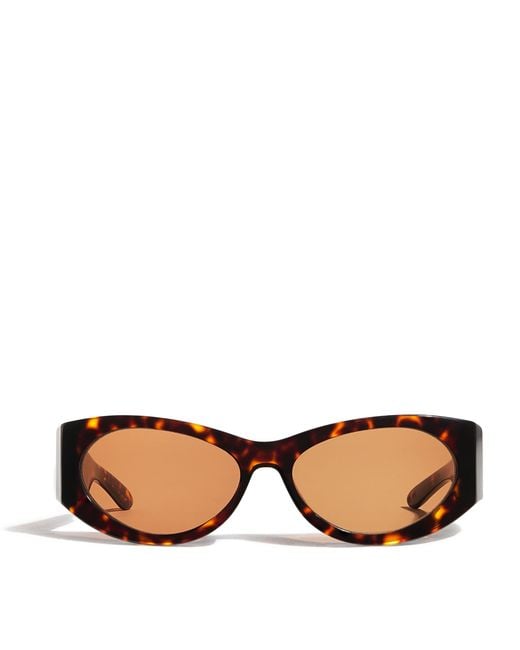 Sir Brown The Classic Sunglasses