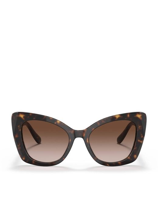 Dolce & Gabbana Brown Acetate Butterfly Sunglasses