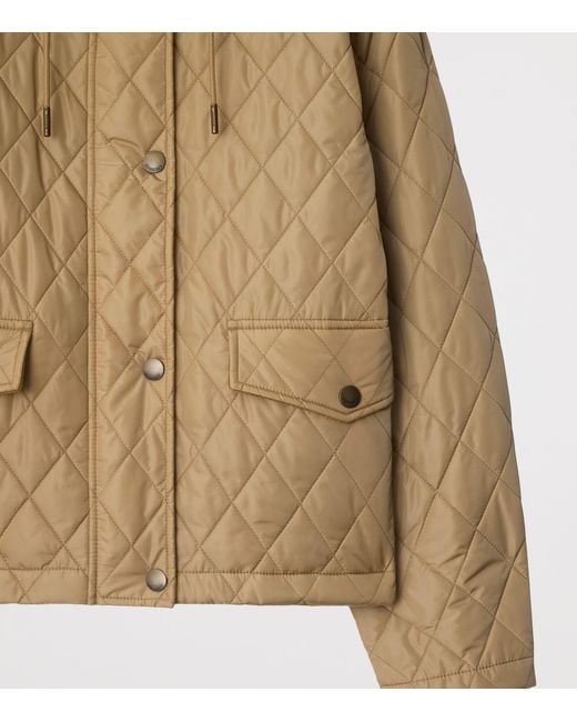 Burberry Natural Winter Jackets