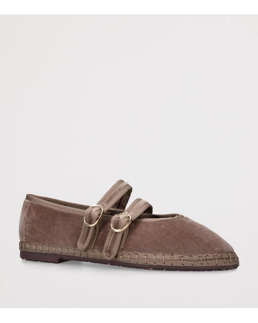 Flabelus Brown Velvet Claire Mary Jane Flats