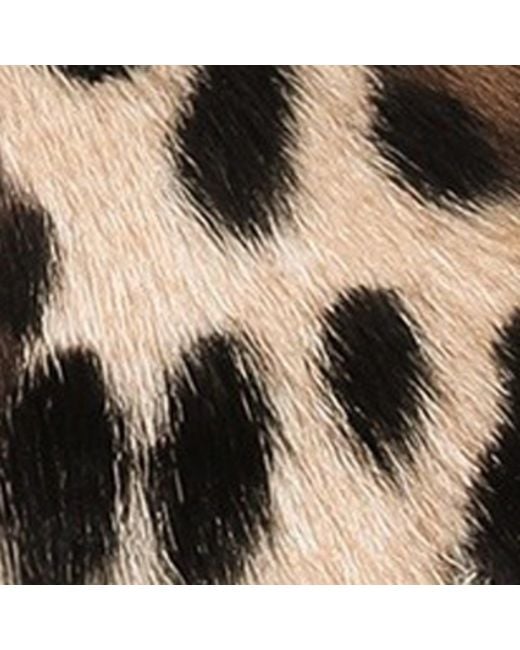 Dolce & Gabbana Brown Leather Leopard Print Slides for men