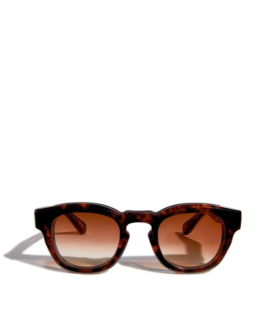 Matsuda Brown Round Sunglasses for men