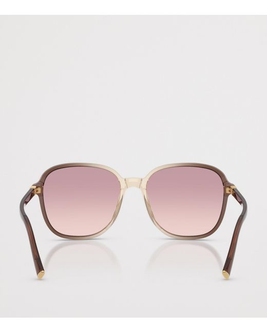 Miu Miu Pink Acetate Oversized Sunglasses