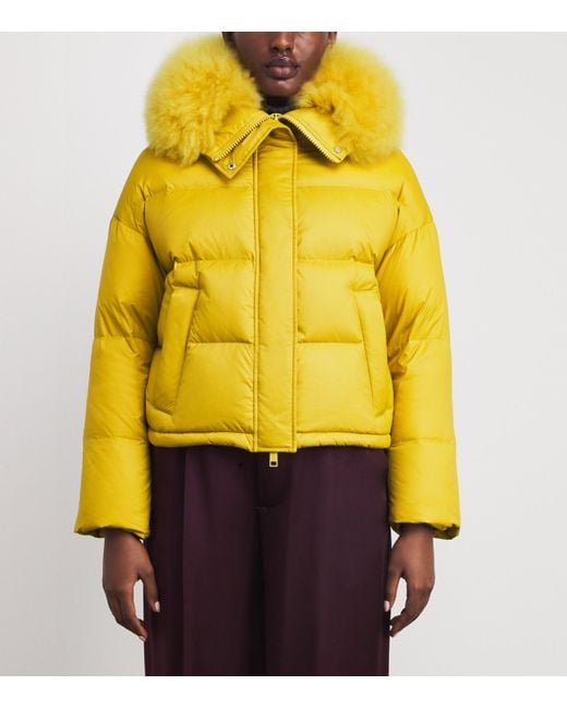 Yves Salomon Yellow Down-Fur Technical Puffer Jacket
