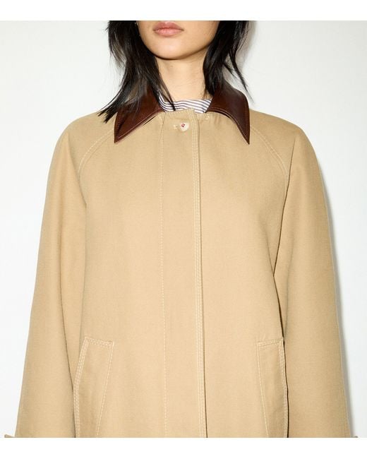 MAX&Co. Natural Contrast-Collar Raincoat