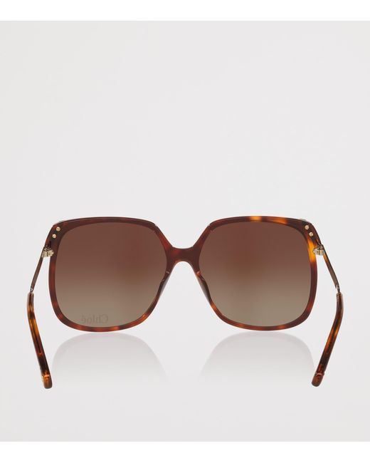 Chloé Brown 06N000560 Rectangle Sunglasses