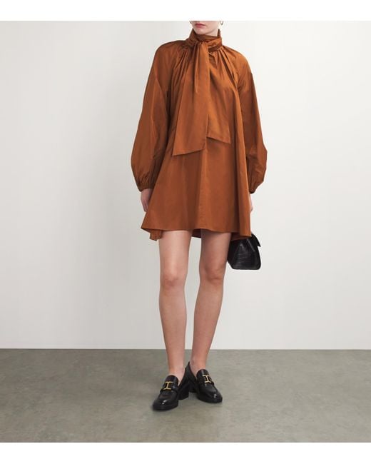 Max Mara Brown Balloon-Sleeve Mini Dress