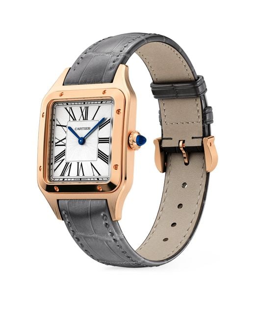 Cartier Gray Rose Santos-Dumont Watch for men
