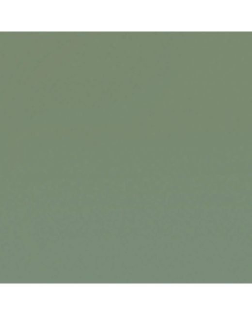 Céline Green Rectangular Sunglasses