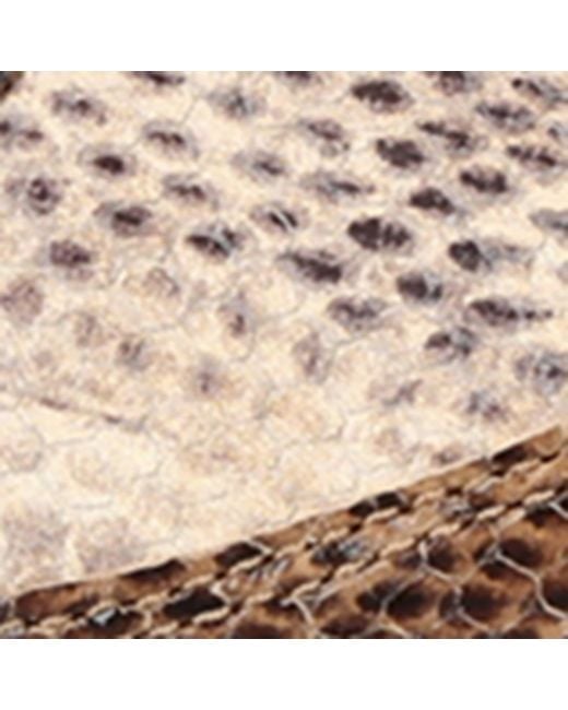 Chloé Brown Snake-Embossed Leather Kick Sneakers