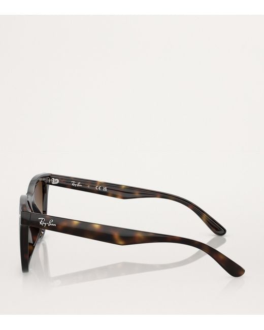 Ray-Ban Brown Injected Rb4420 Sunglasses