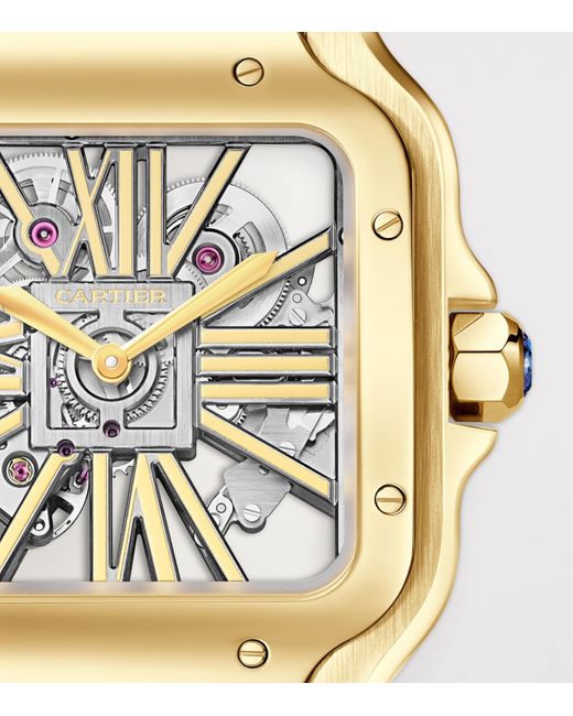 Cartier Metallic Large Santos De Skeleton Watch for men