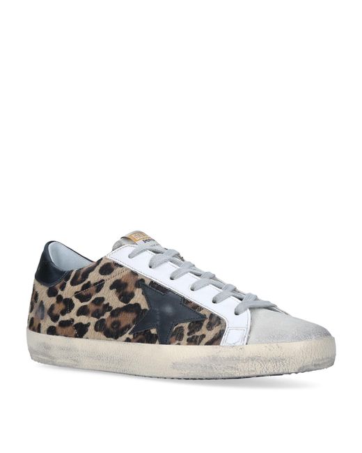 Golden Goose Deluxe Brand Brown Leather Leopard Print Superstar Sneakers