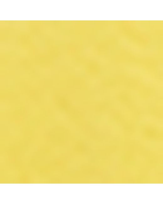 Loewe Yellow X Paula's Ibiza Tulip Bag Charm